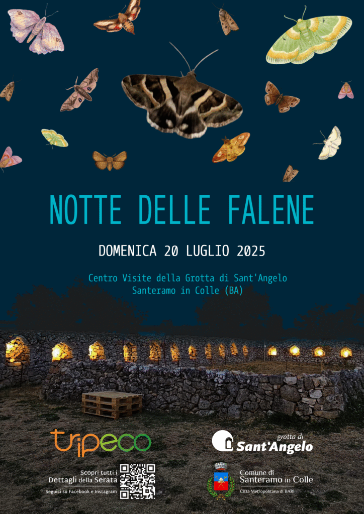 Notte delle Falene - Locandina 3