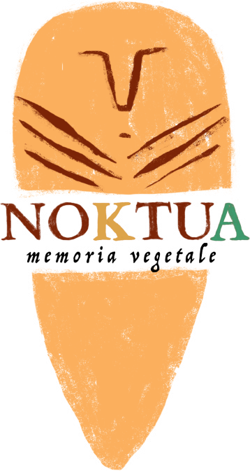 Noktua